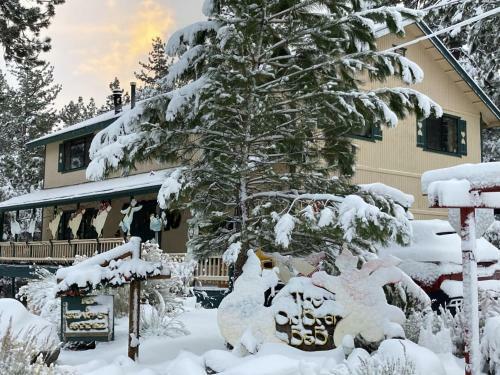 Bed & Breakfast The Old Bear Bnb