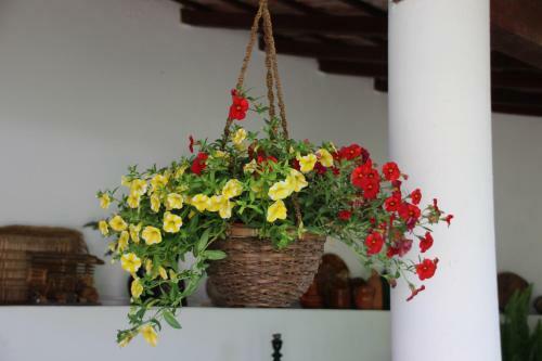 Patio Canelas