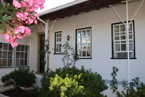 Patio Canelas