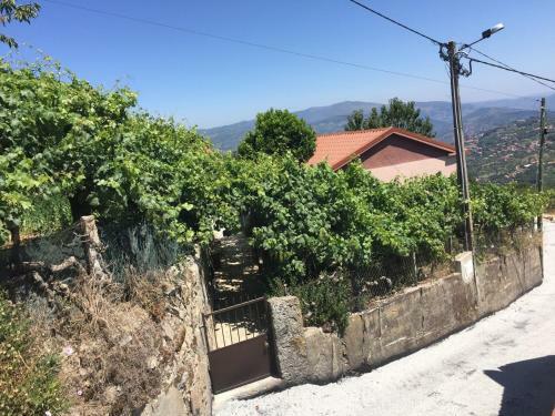 Alojamento Da Ribeirinha