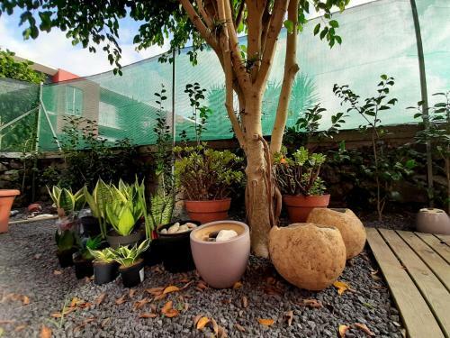 Casa Das Yucas - P�tio Apartment