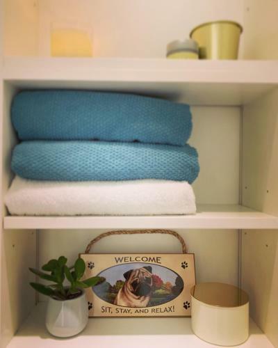 Cute Pug Guesthouse