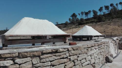 Casa Da Palmeira