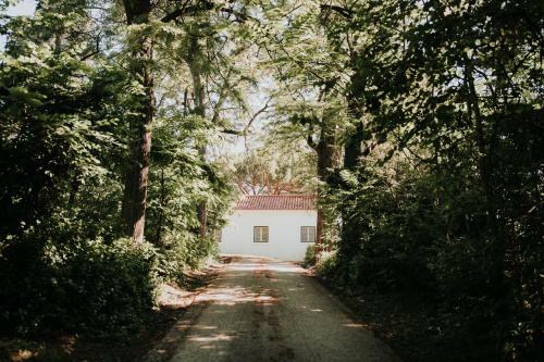 Casa Dos Picates - Country House