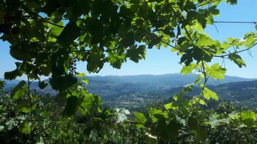 Quinta Do Mirante