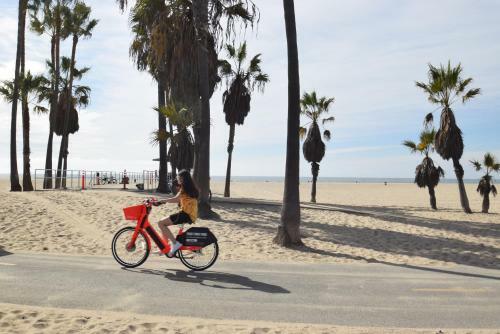 Venice Beach Apartments Monthly Rents