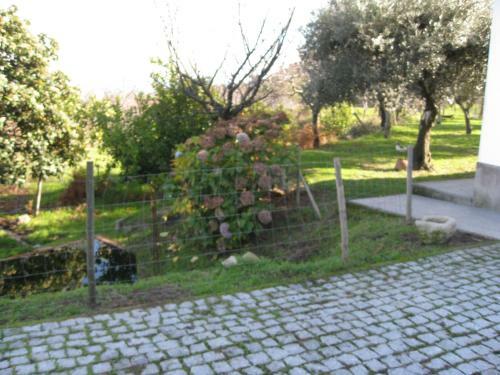 Quinta Souto Da Ordem - House