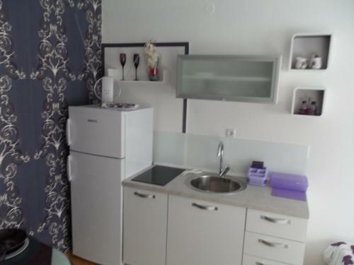 Apartments Branka