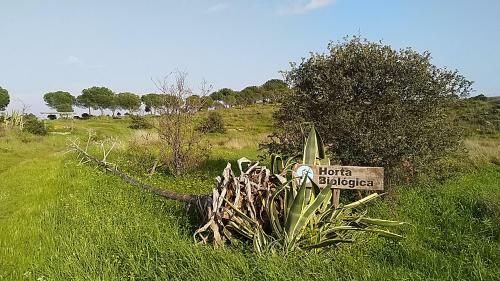 Bed & Breakfast Guesthouse Monte Francisco Baanswy