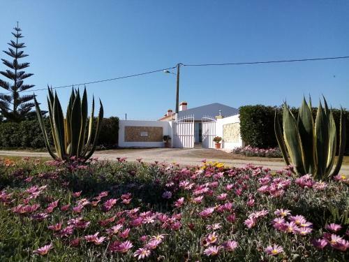 Apartamento Casa Nova Da Barreira