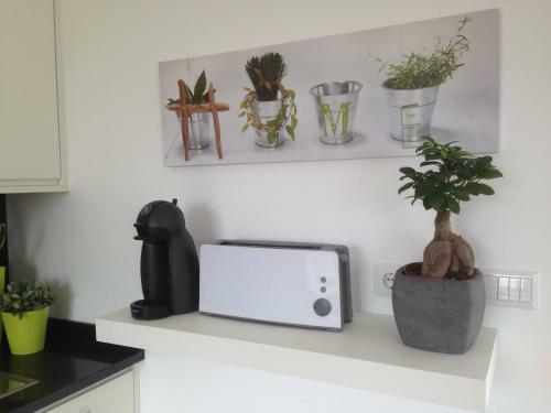 Guesthouse Bem Vindo