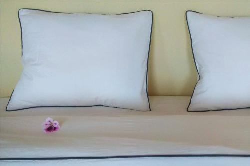 Faial Cottage B&B