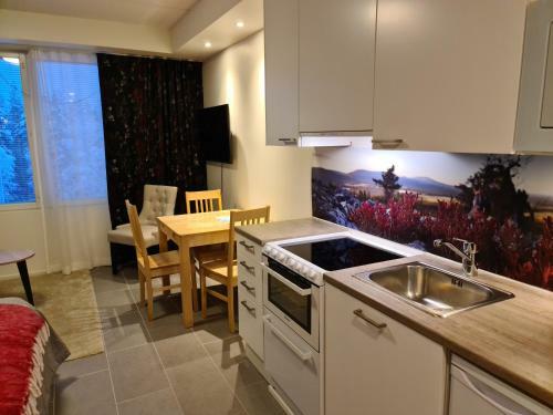 Apartamento Levibooking Lost In Levi Apt 305