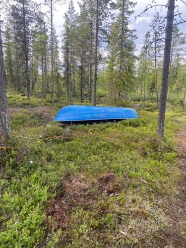 Riverside Cottage Near Yll�s, Lapland