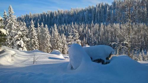 Lake Cottage J�nisvaara