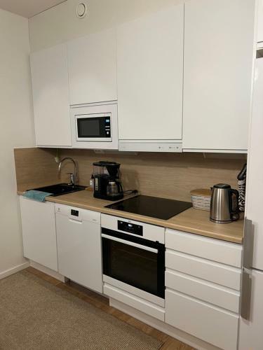 Cozy Centre Apartament Kuopio