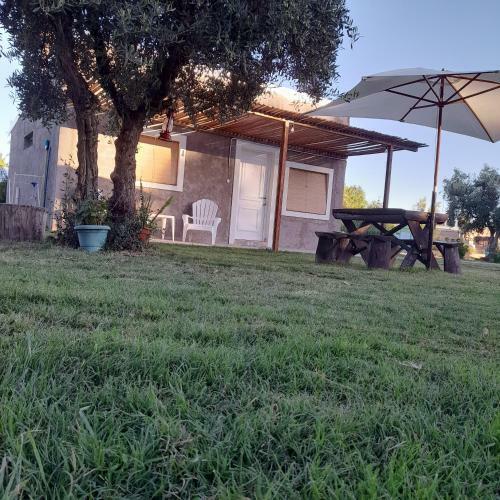 Finca Morisi