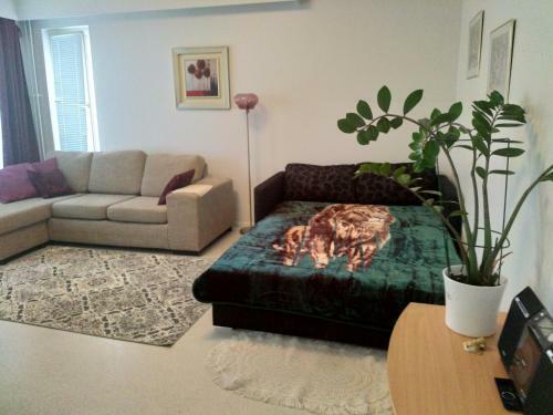 Apartment Mikkeliss�, Silvasti