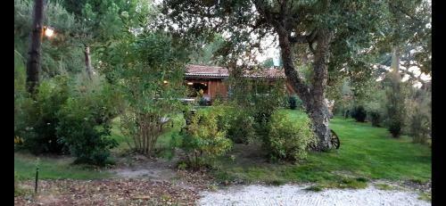 Lodge Ying Yang Monte Da Lua