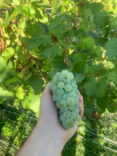 Caba�a Mar - Finca Puduam