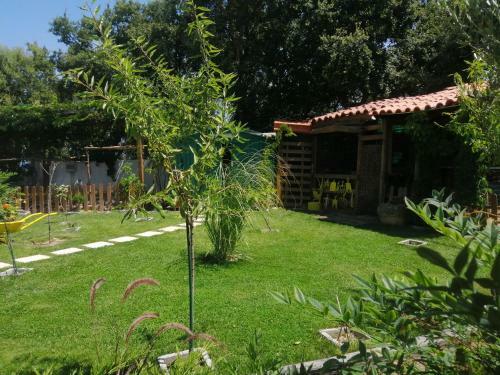 Casa Do Cedro