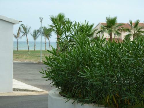 Les Brises De Mer