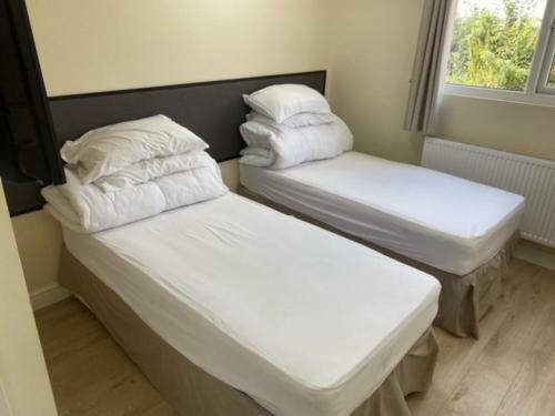 Hostal Bucks Accommodation
