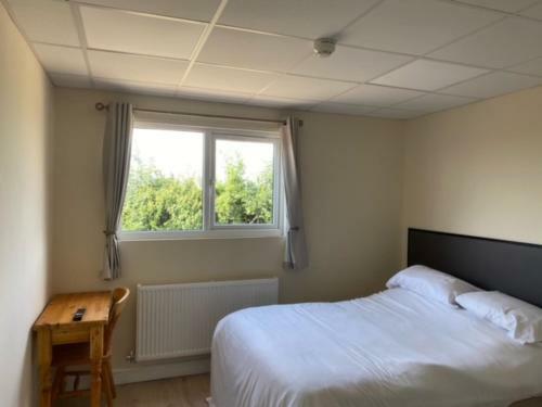 Hostal Bucks Accommodation