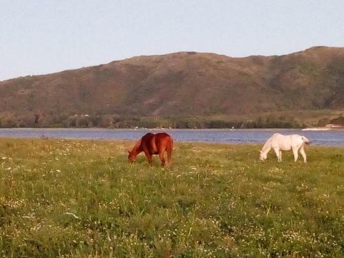 Puerto Del Aguila Premium Apart