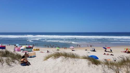 Salinas Beach House - T3 Apartment - Costa Nova
