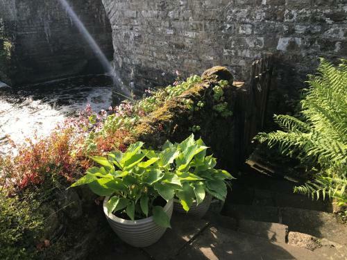 Bridge Cottage, Bainbridge, With Riverside Garden!