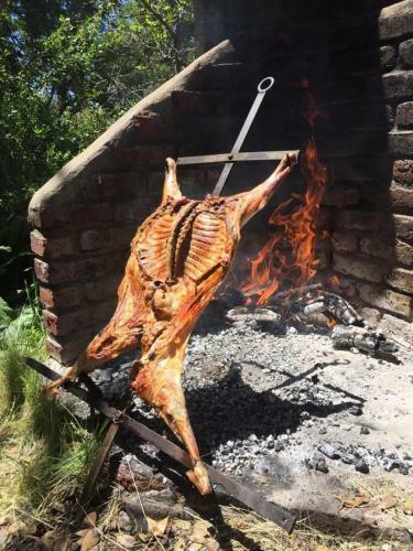 Hotel Estancia Quillen Lodge - Hosteria