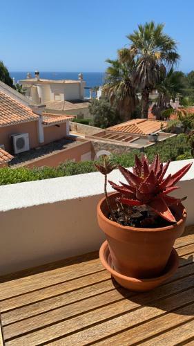 Apartamento Casa Ayty