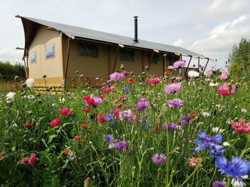 Lodge Tall Trees Glamping
