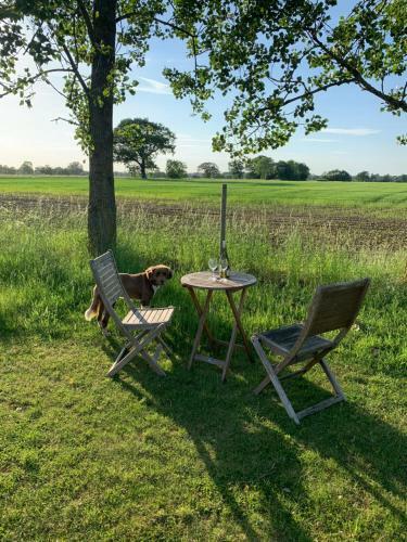 Bed & Breakfast Bluebell Barn