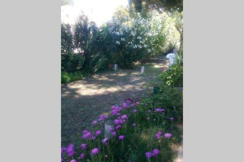 Chalet Don Vicente