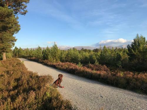 The Green Lodge Aviemore