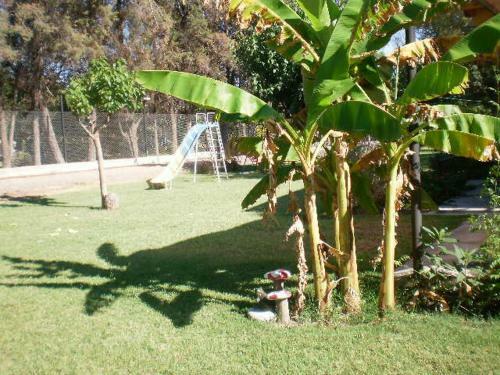 Apartamento Mendoza Caba�a Lim�n