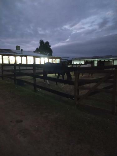 Villa Finca La Pasionaria - Conect�ndonos