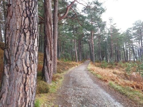 Holiday House Kinveachy
