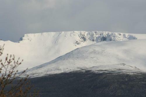 Aviemore Cottage - Cairngorms National Park