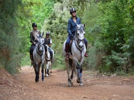 Apartamento Casanova 143 By Saboia Collection