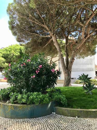 Pine Apartment - A 3m Da Ciclovia Guincho