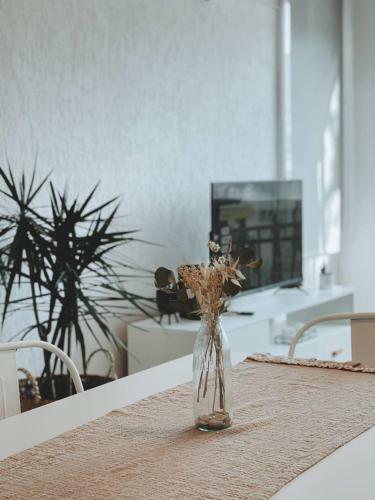 Apartamento Duplex Terrada