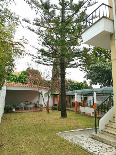 Hostal Botanique Guesthouse