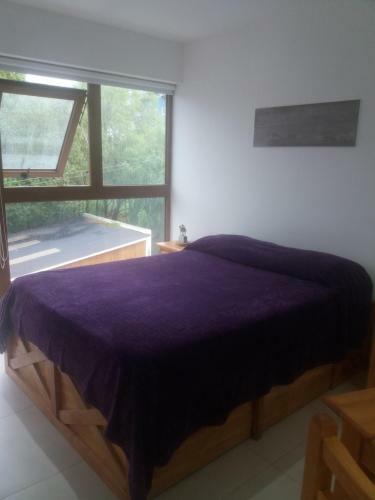 Apartamento Departamento Centrico Ana