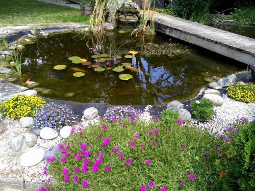 Bed & Breakfast Le Bassin Du Tertre