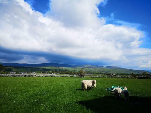 Bennar Isa Cottages Talybont