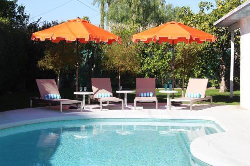 Mid - Century Oasis