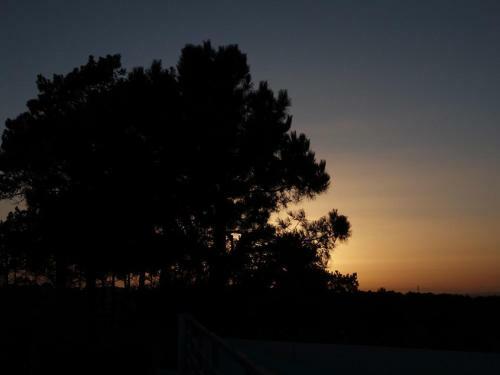 Mandala House Sesimbra